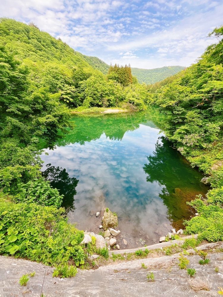 猫なぎ。さんが投稿した赤芝峡に関する口コミの画像