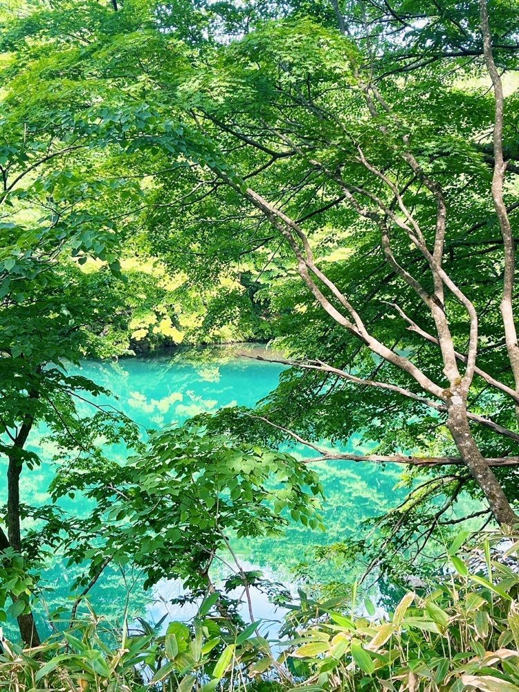 猫なぎ。さんが投稿した赤芝峡に関する口コミの画像
