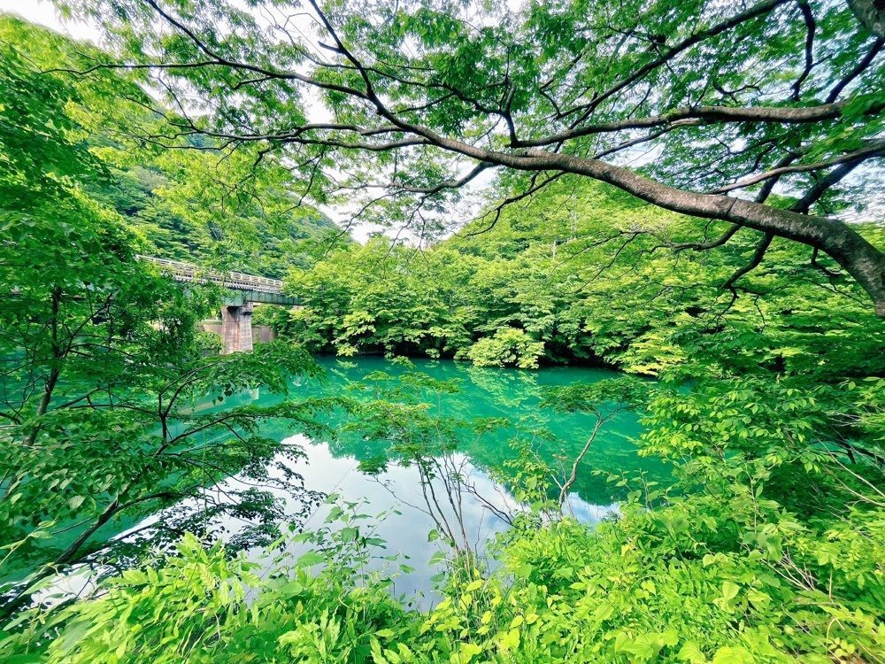 猫なぎ。さんが投稿した赤芝峡に関する口コミの画像