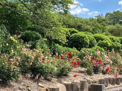 種松山公園西園地