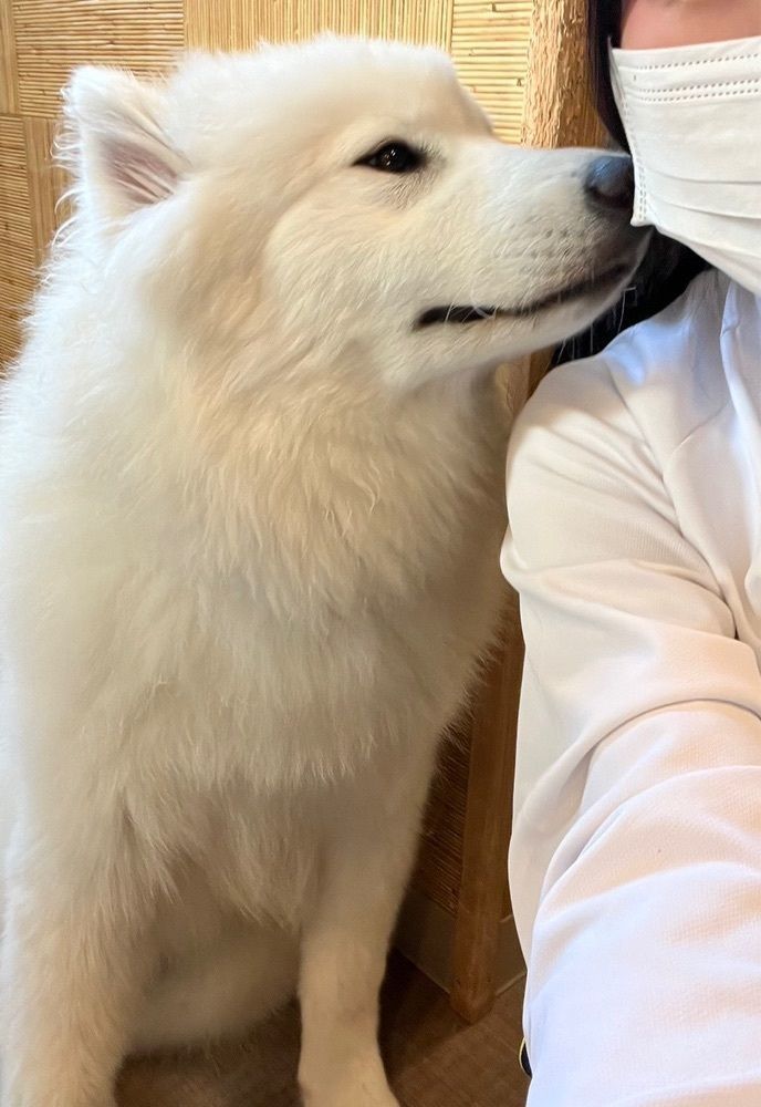 ふみさんが投稿した焼肉ライク 京都河原町蛸薬師店に関する口コミの画像