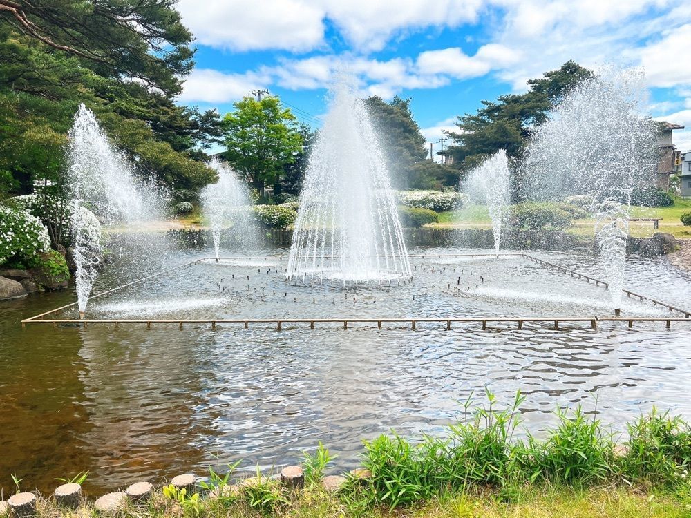 猫なぎ。さんが投稿した松ヶ池公園（白つつじ公園）に関する口コミの画像
