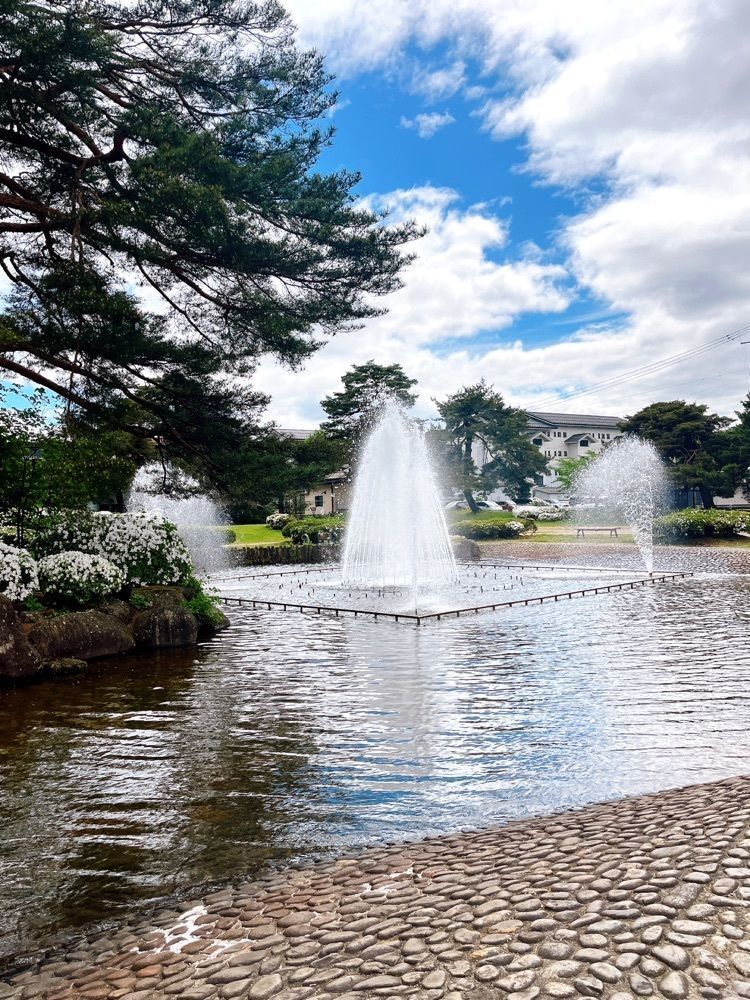 猫なぎ。さんが投稿した松ヶ池公園（白つつじ公園）に関する口コミの画像
