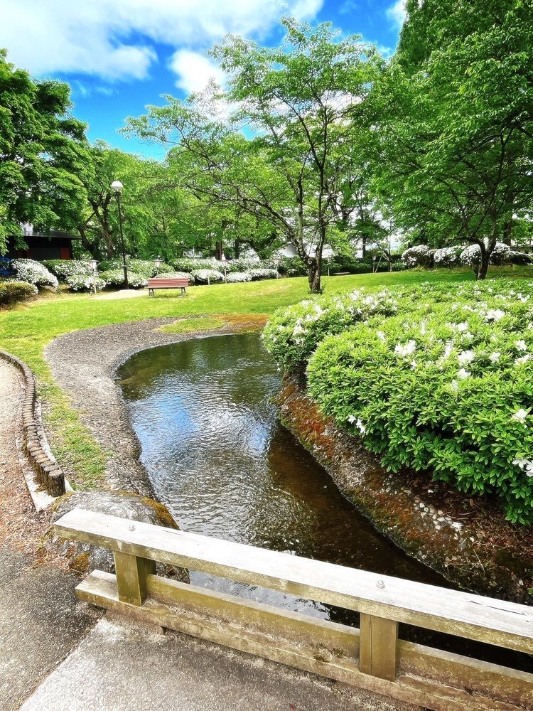 猫なぎ。さんが投稿した松ヶ池公園（白つつじ公園）に関する口コミの画像