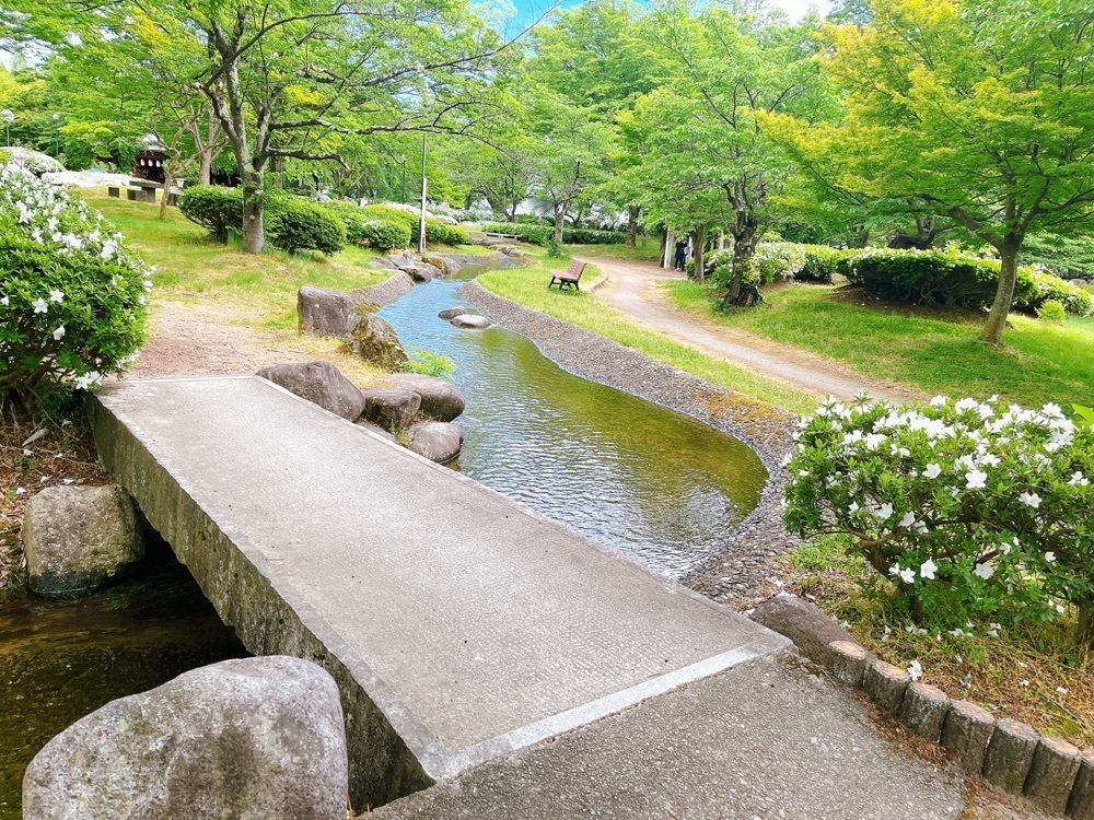 猫なぎ。さんが投稿した松ヶ池公園（白つつじ公園）に関する口コミの画像