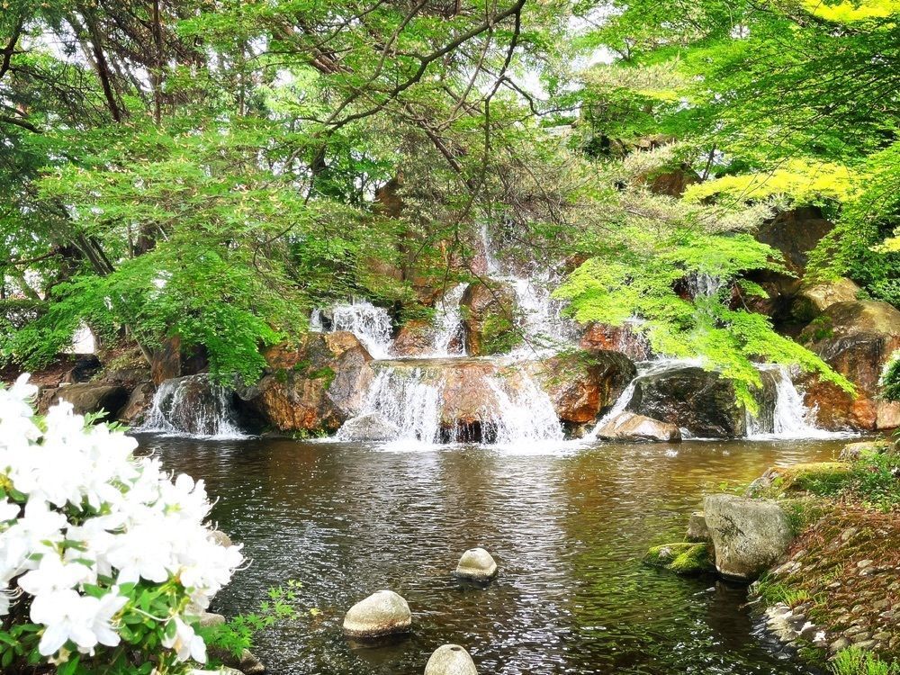 猫なぎ。さんが投稿した松ヶ池公園（白つつじ公園）に関する口コミの画像