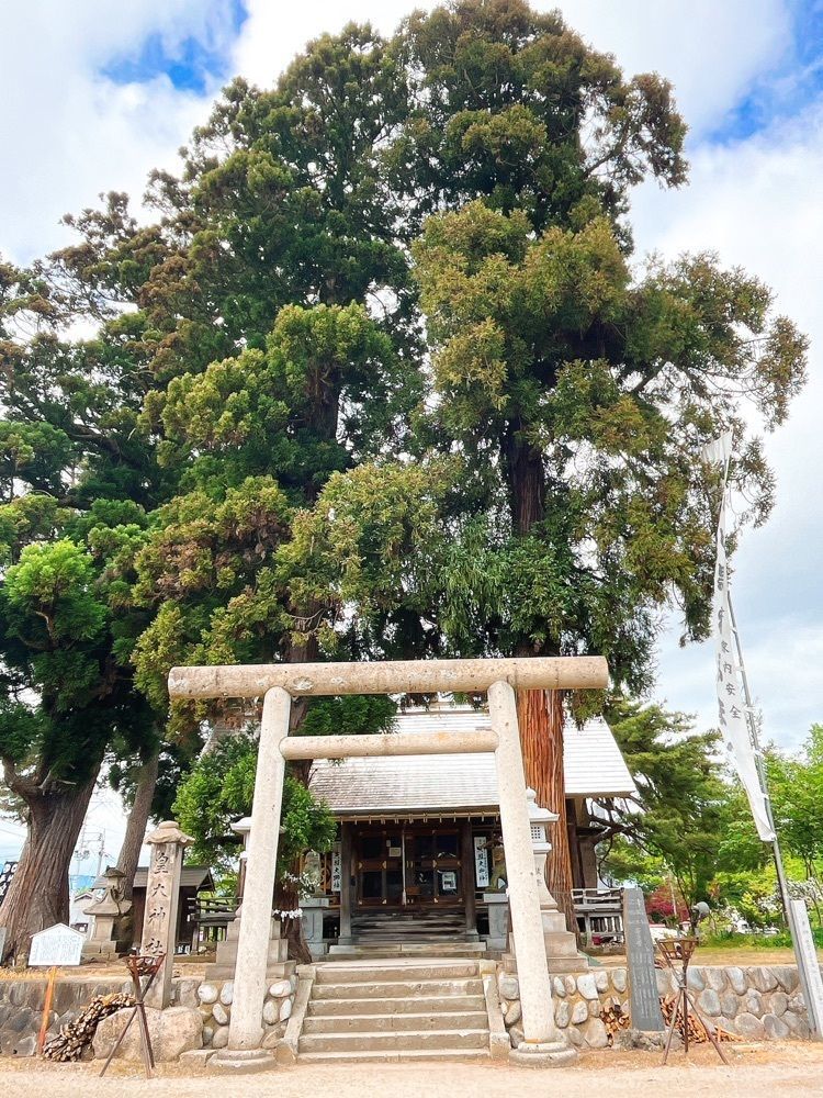 猫なぎ。さんが投稿した松ヶ池公園（白つつじ公園）に関する口コミの画像