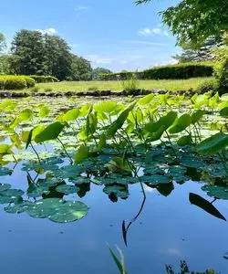 大池公園（福島県矢吹町）