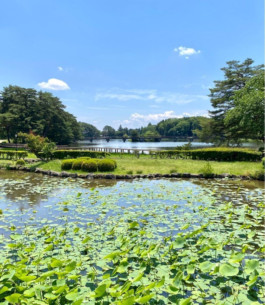 calm_gift_1030さんが投稿した大池公園（福島県矢吹町）に関する口コミの画像