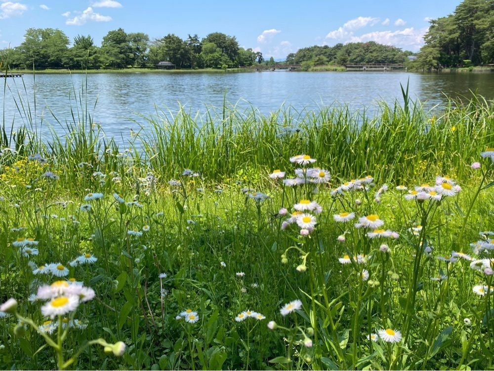 calm_gift_1030さんが投稿した大池公園（福島県矢吹町）に関する口コミの画像