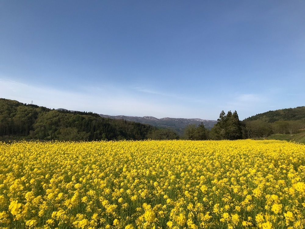 ぷかちいさんが投稿した道の駅 野沢温泉に関する口コミの画像