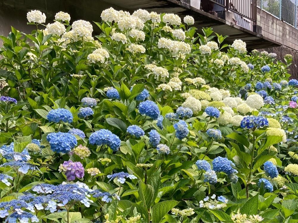 うーとらマンさんが投稿した早島町ふれあいの森公園キャンプ場に関する口コミの画像