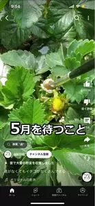 居酒屋一心