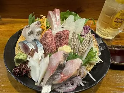 尾道玉扇