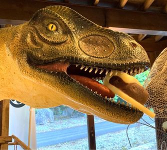 マエダセイカ 羽二重餅の古里（はぶたえもちのふるさと） 2枚目