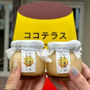 ココテラス