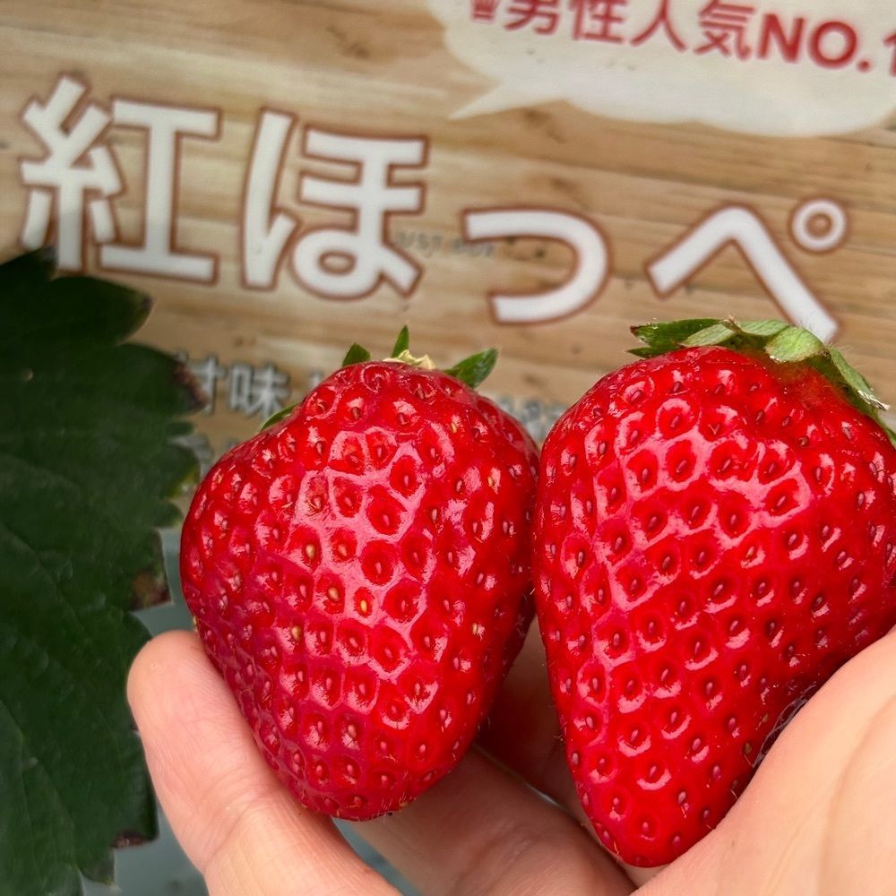 エリーチカさんが投稿したTAiSHi farmに関する口コミの画像