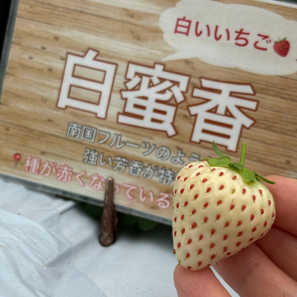 エリーチカさんが投稿したTAiSHi farmに関する口コミの画像