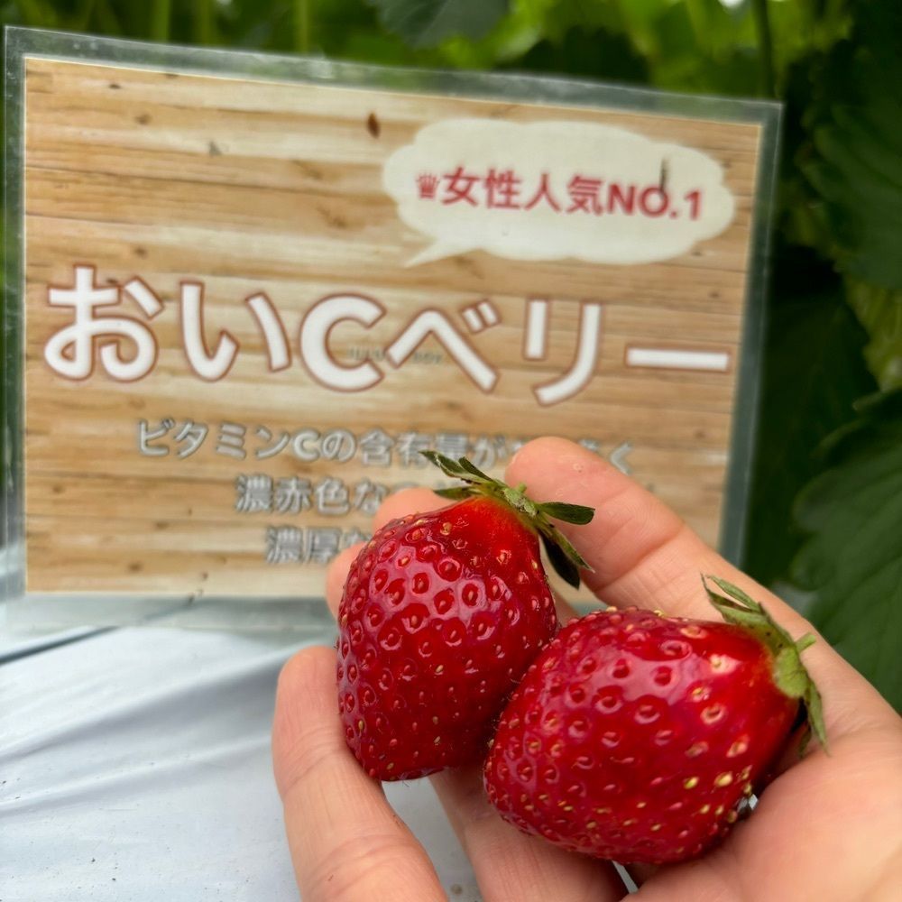 エリーチカさんが投稿したTAiSHi farmに関する口コミの画像