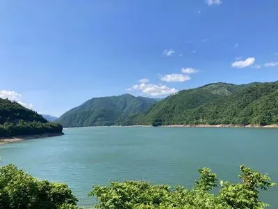 荘川桜 3枚目