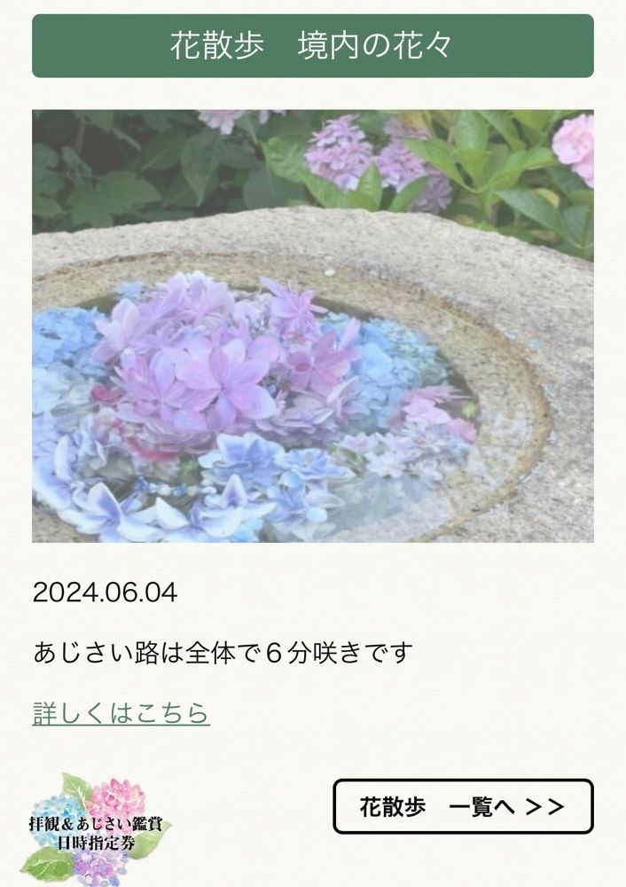 chou chou tabiさんが投稿した長谷寺　眺望散策路に関する口コミの画像