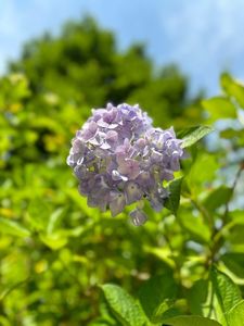 山田池公園 6枚目