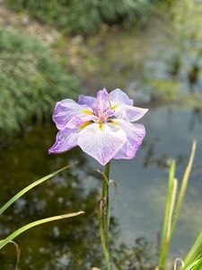 山田池公園 5枚目