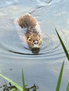 山田池公園 4枚目
