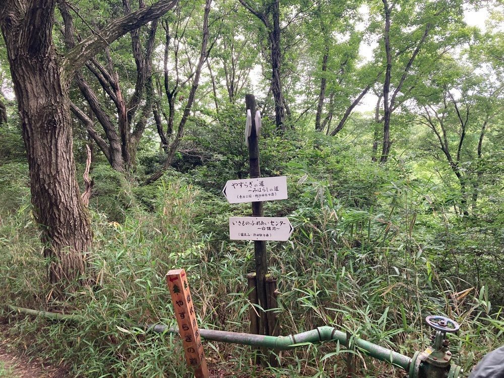 ふみさんが投稿した交野山観音岩に関する口コミの画像