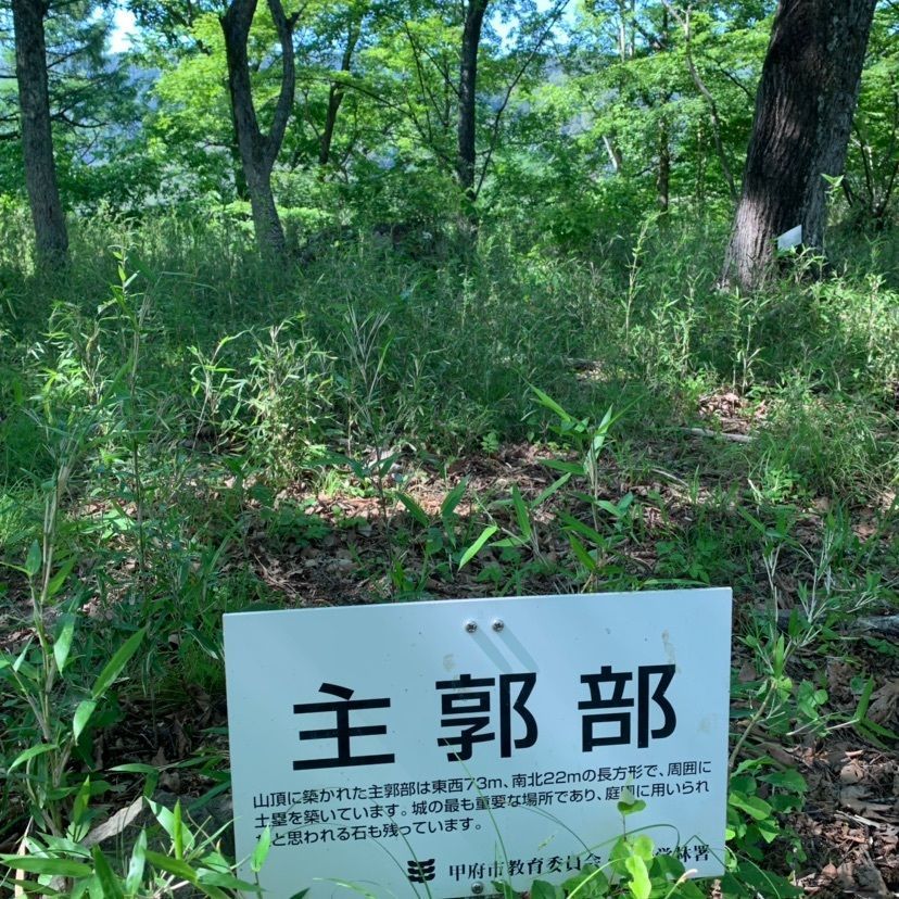 しゃんぽんさんが投稿した要害城跡に関する口コミの画像