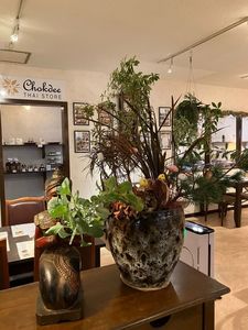 ショークディー 5枚目