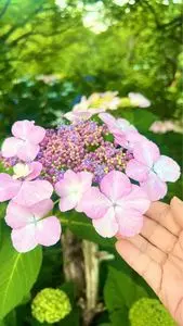 旧河野邸庭園
