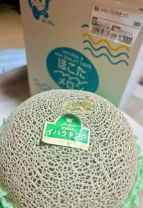 道の駅　常総