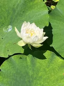 玉穂ふるさとふれあい広場