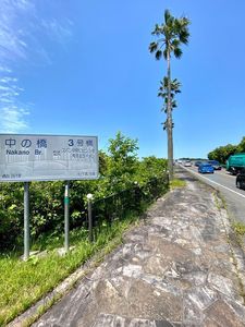 天草五橋 4枚目