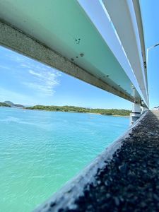 天草五橋 7枚目