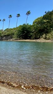 上天草市海岸 4枚目