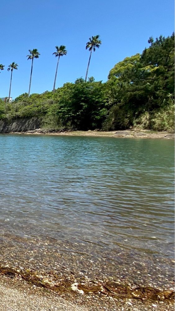 Satoshi.Nさんが投稿した上天草市海岸に関する口コミの画像