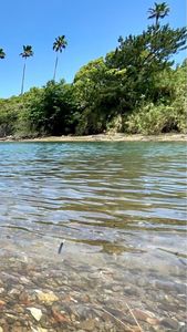 上天草市海岸 7枚目