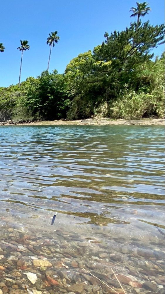 Satoshi.Nさんが投稿した上天草市海岸に関する口コミの画像