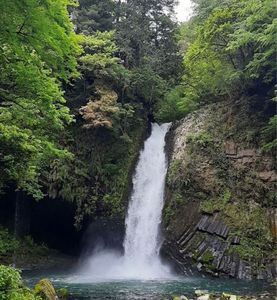 浄蓮の滝 4枚目