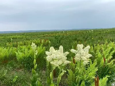 レストハウス サロベツ