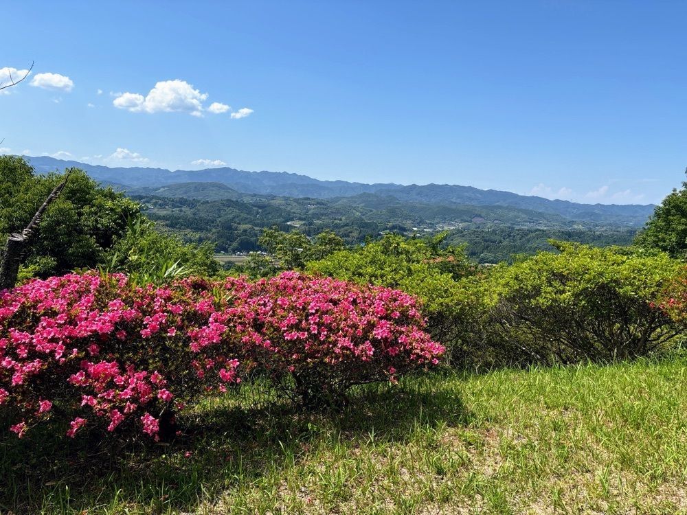 formal_cafeteria_8688さんが投稿した大辻公園に関する口コミの画像