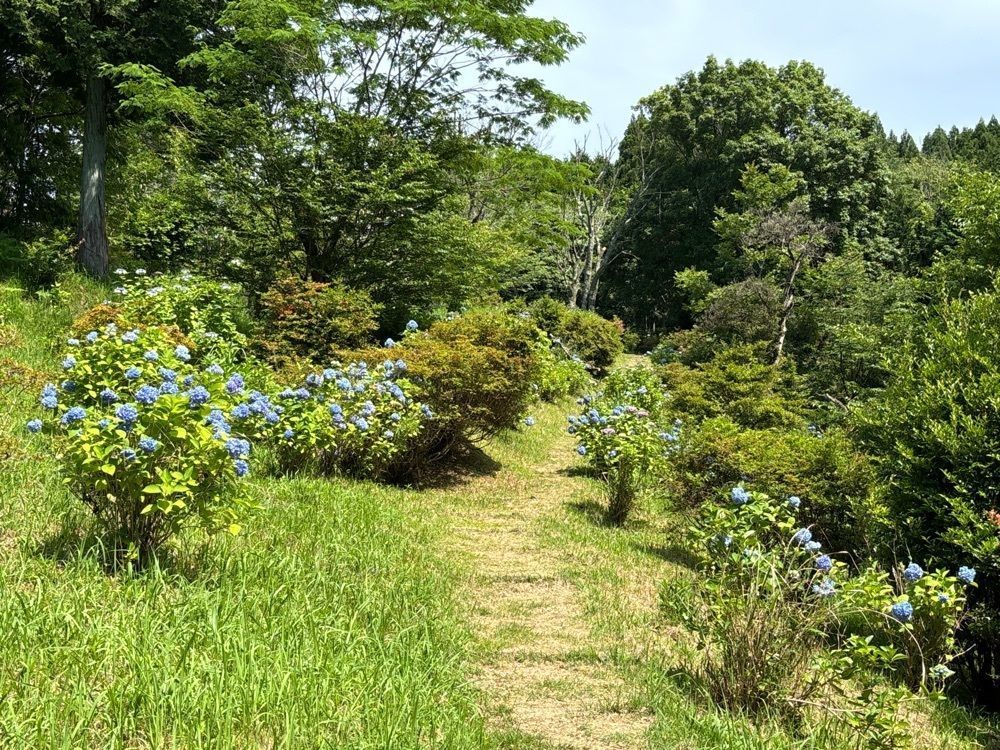 formal_cafeteria_8688さんが投稿した大辻公園に関する口コミの画像