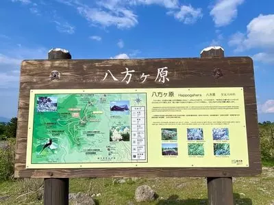 八方ヶ原