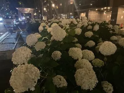 進々堂 御池店（しんしんどう）