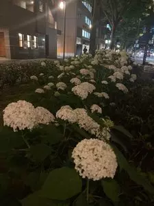 進々堂 御池店(しんしんどう) 3枚目