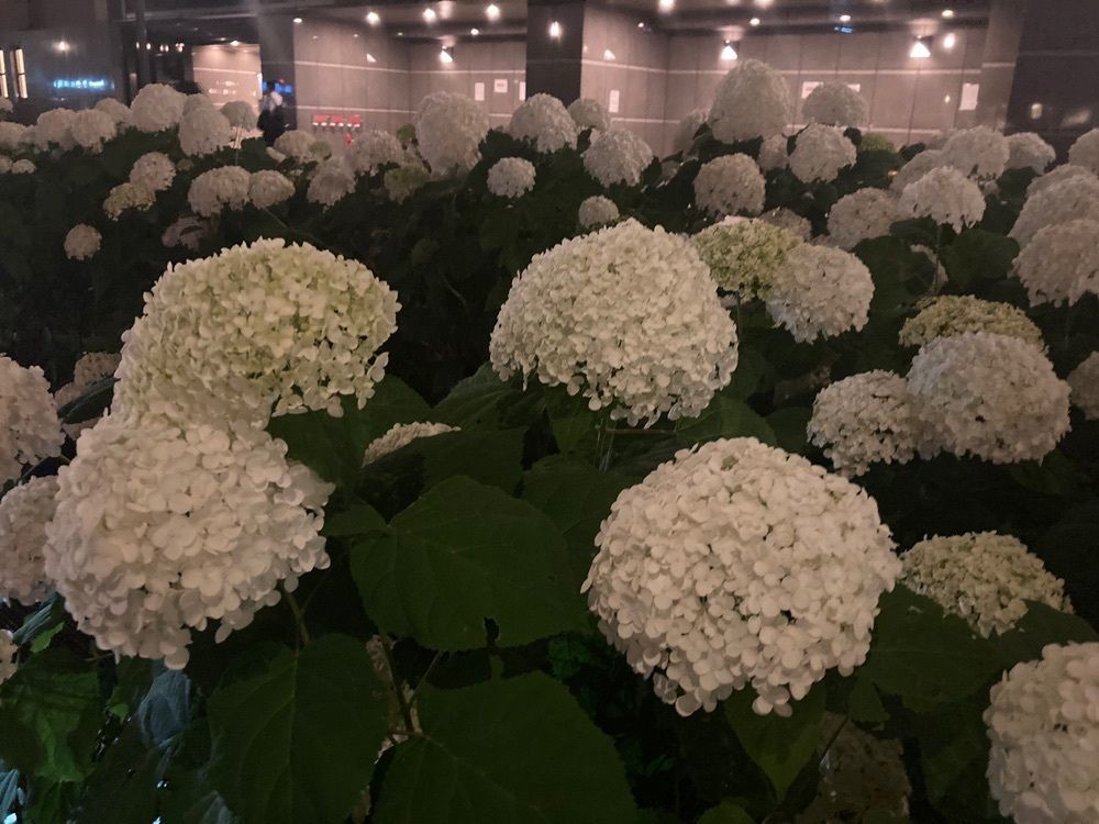 ふみさんが投稿した進々堂 御池店（しんしんどう）に関する口コミの画像