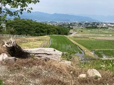 大公寺