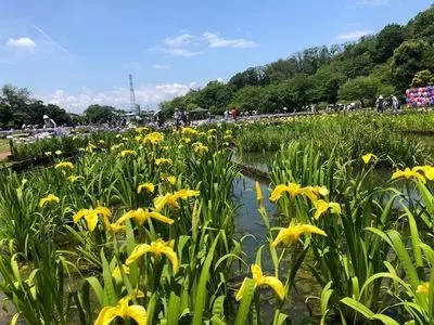 北山公園（東京都東村山市）